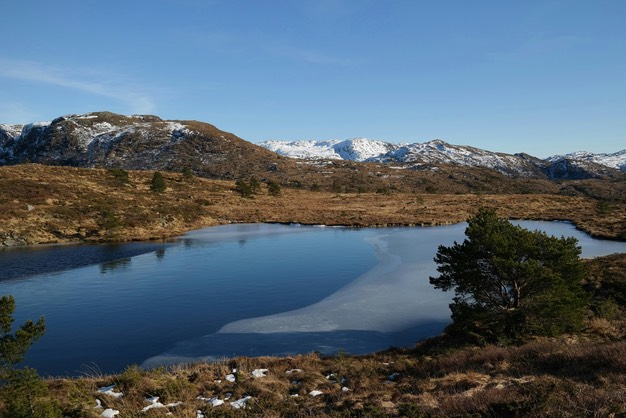 Impressions from Greif